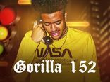 Foto de Gorilla 152