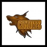 Coyotes