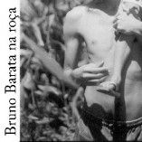 bruno barata