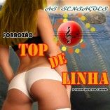 forrozao top de linha