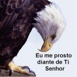Finalizado