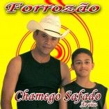Forrozão Chamego Safado
