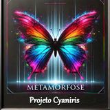 Projeto Cyaniris