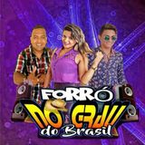 Forró No Grau do Brasil