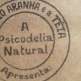 MÁRCIO ARANHA E A TÊIA