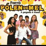 forró polén de mel
