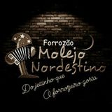 Forrozão Molejo Nordestino
