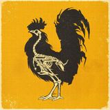 Mad Chicken