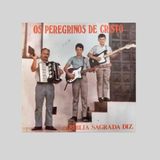 Os peregrinos de Cristo