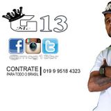 Mc G13