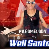 100% Well Santos