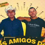 Os Amigos do Forró.com