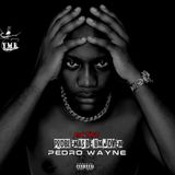Pedro Wayne