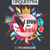 Orquestra Sopro da Alegria