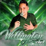 Wellington Sanches o Fera Do Palco