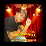 Banda Arrocha Vaqueiro