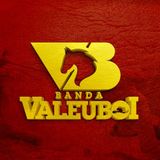 BANDA VALEU BOI OFICIAL - PALCO MP3