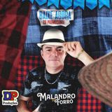 MALANDRO DO FORRO