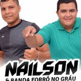 nailson e banda forro no grau