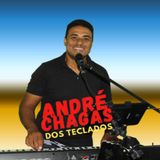 Luiz André do mpb