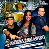 SISTEMA DISCARADO OFICIAL
