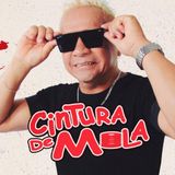 Cintura de Mola ®
