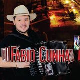 FABIO CUNHA & GRUPO BATIDÃO