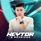 Heytor Vieira