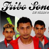 Tribo Sonora