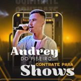 Andrey Do Piseiro