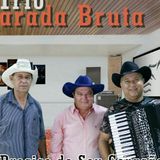 Trio Parada Bruta