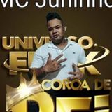 MC Juninho Mr