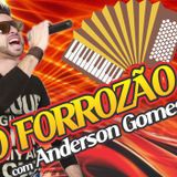 ANDERSON GOMES 2017