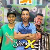 Skema X