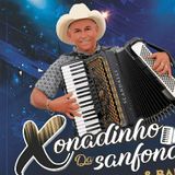 Verinho Xonadinho  Da Sanfona