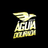 Banda(Forrozão )Águia Dourada