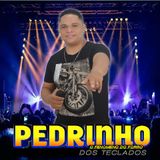 PEDRINHO DOS TECLADOS 2021