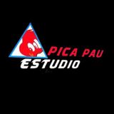 forró do pica pau