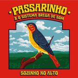 Passarinho e o Sistema Brega de Som