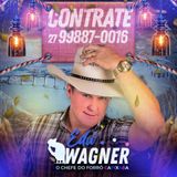 Edu wagner chefe do forro
