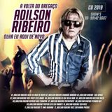 ADILSON RIBEIRO 2019