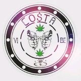 Costa Vibe