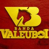 BANDA VALEU BOI cd nossa história de amor