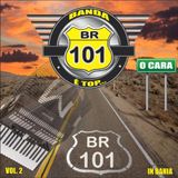 BR 101