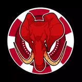 Elephant Casino