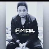 Micel da Mata
