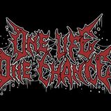 One Life One Chance