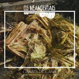 Os neandertais