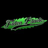 Fideo Black