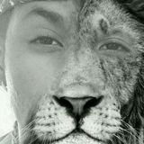 Mc Lion Oficial